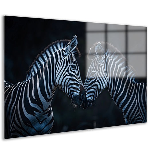 Twee zebra’s in donkere omgeving acrylglas