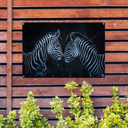 Twee zebra’s in donkere omgeving tuinposter