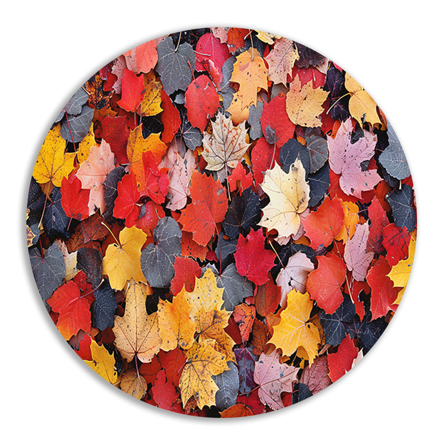Herfstkleurenpracht op de grond aluminium muurcirkel