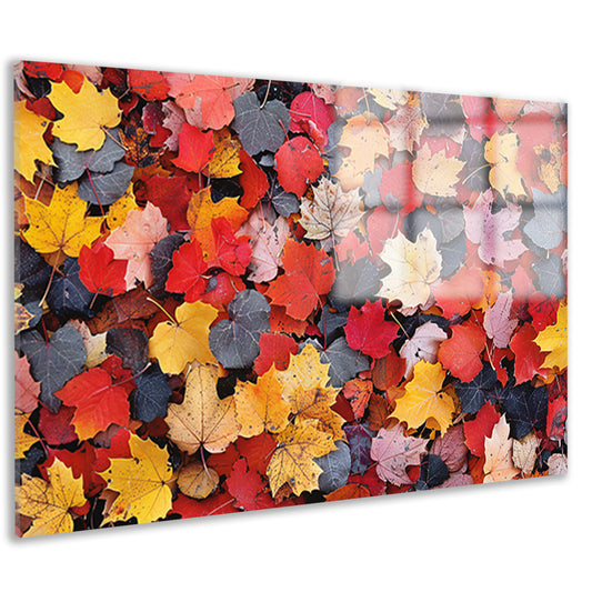 Herfstkleurenpracht op de grond acrylglas