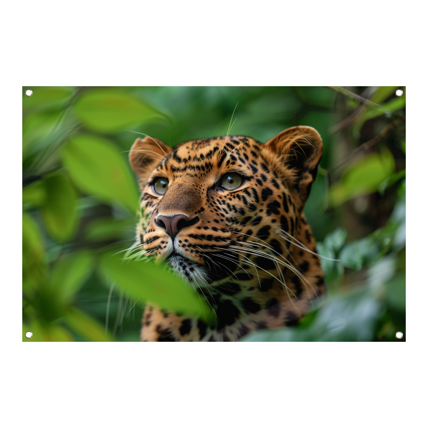 Luipaard Tussen Groen in Jungle tuinposter