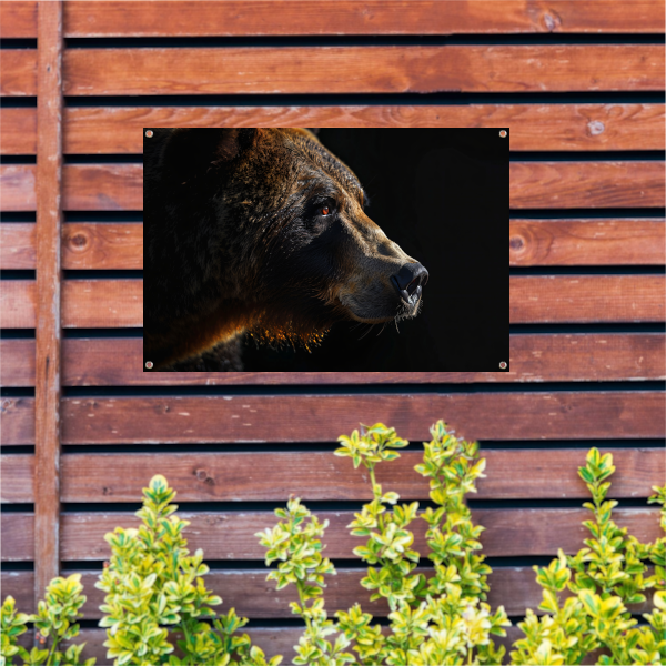 Portret van een Beer in Diepe Schaduwen tuinposter