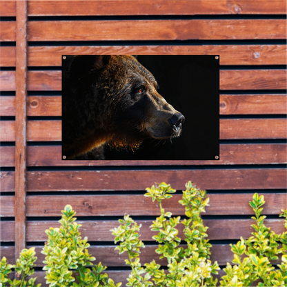 Portret van een Beer in Diepe Schaduwen tuinposter