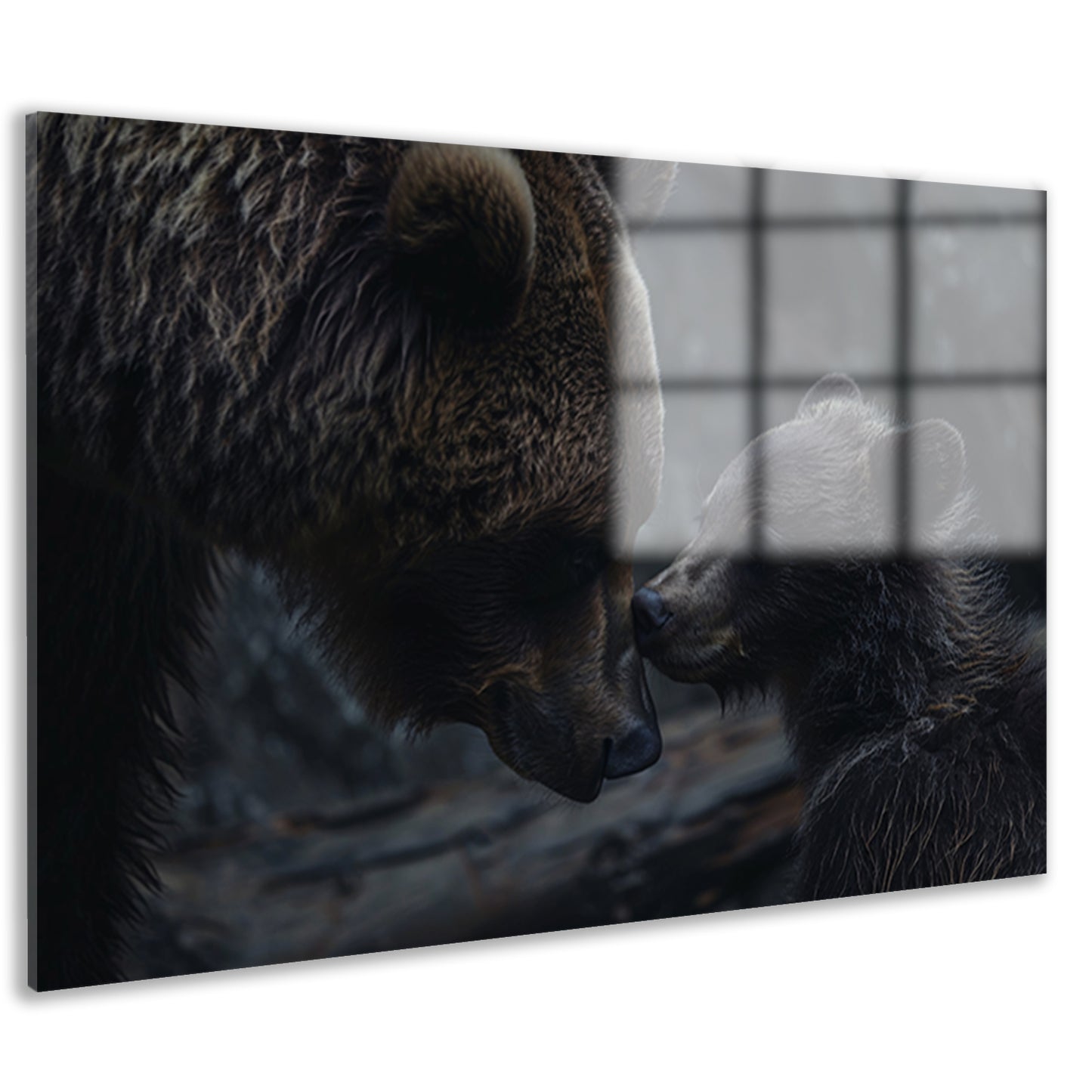 Moederbeer met haar welpje in het bos acrylglas
