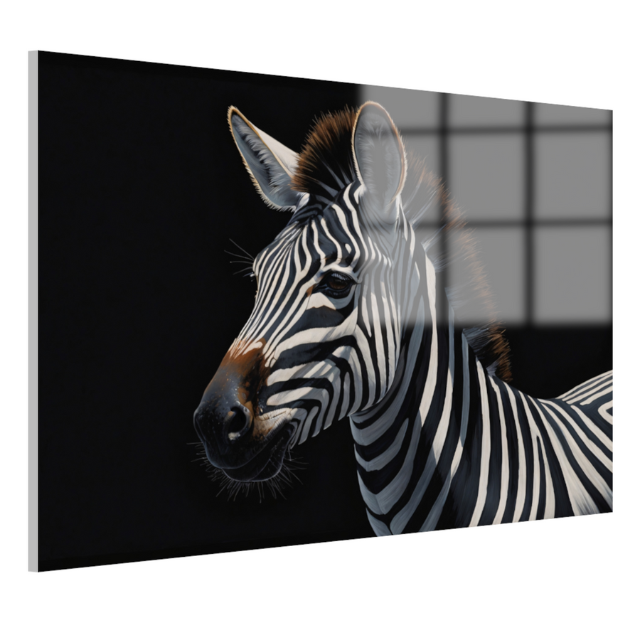 Elegante Zebra in Monochrome Majesteit acrylglas