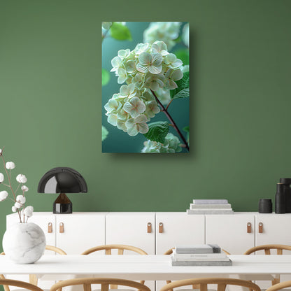 Close-up van Zachtroze Hortensia Bloemen canvas met baklijst