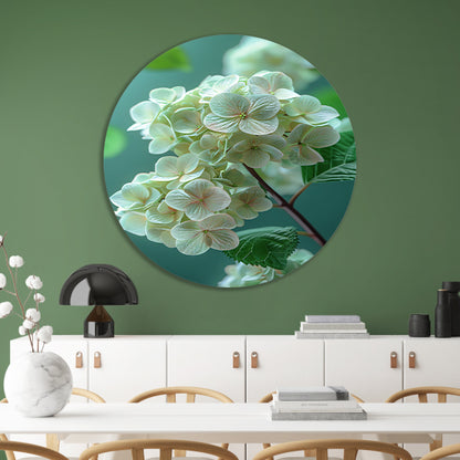 Close-up van Zachtroze Hortensia Bloemen aluminium muurcirkel