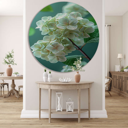 Close-up van Zachtroze Hortensia Bloemen aluminium muurcirkel