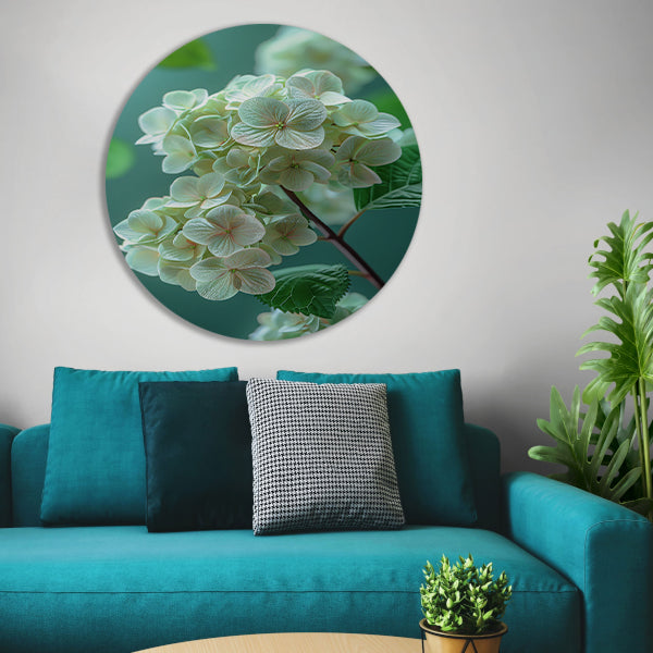 Close-up van Zachtroze Hortensia Bloemen aluminium muurcirkel