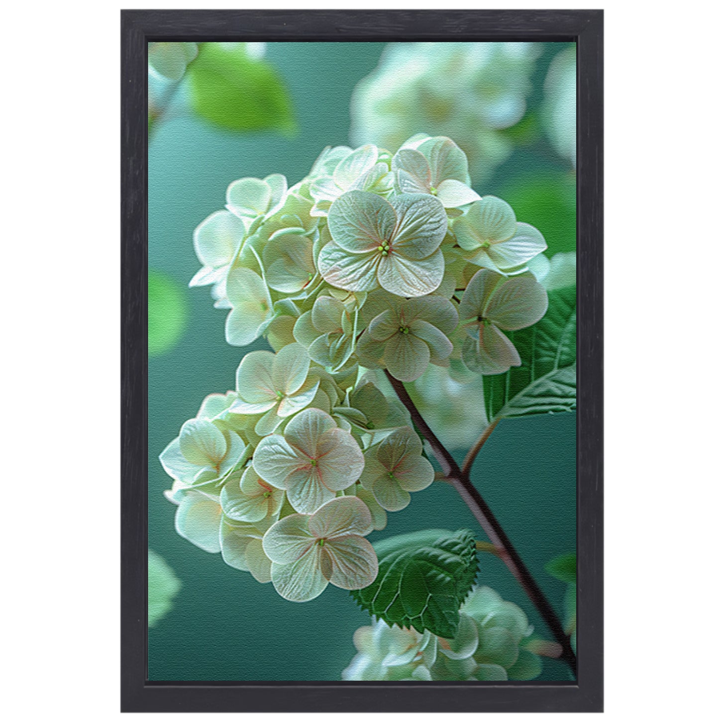 Close-up van Zachtroze Hortensia Bloemen canvas met baklijst