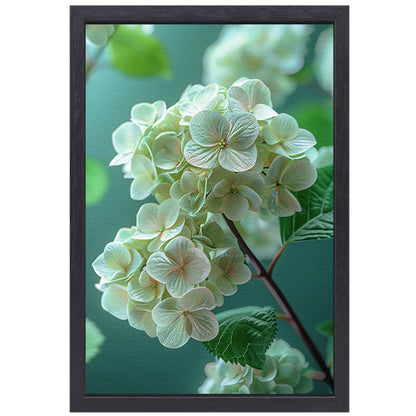 Close-up van Zachtroze Hortensia Bloemen canvas met baklijst