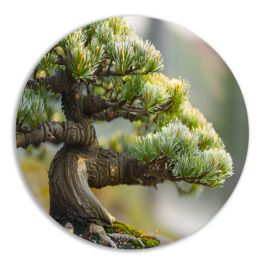 Oude bonsai met gedetailleerde schors en groen forex muurcirkel