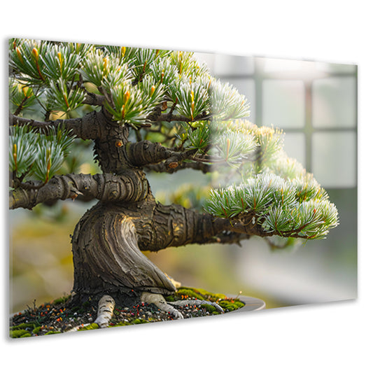 Oude bonsai met gedetailleerde schors en groen acrylglas