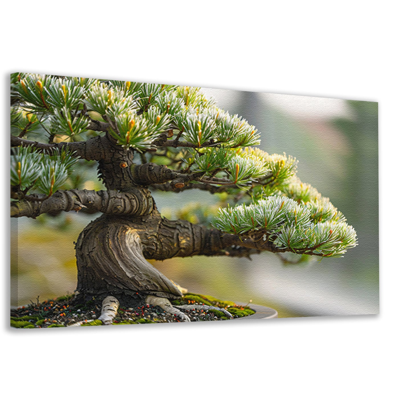 Oude bonsai met gedetailleerde schors en groencanvas