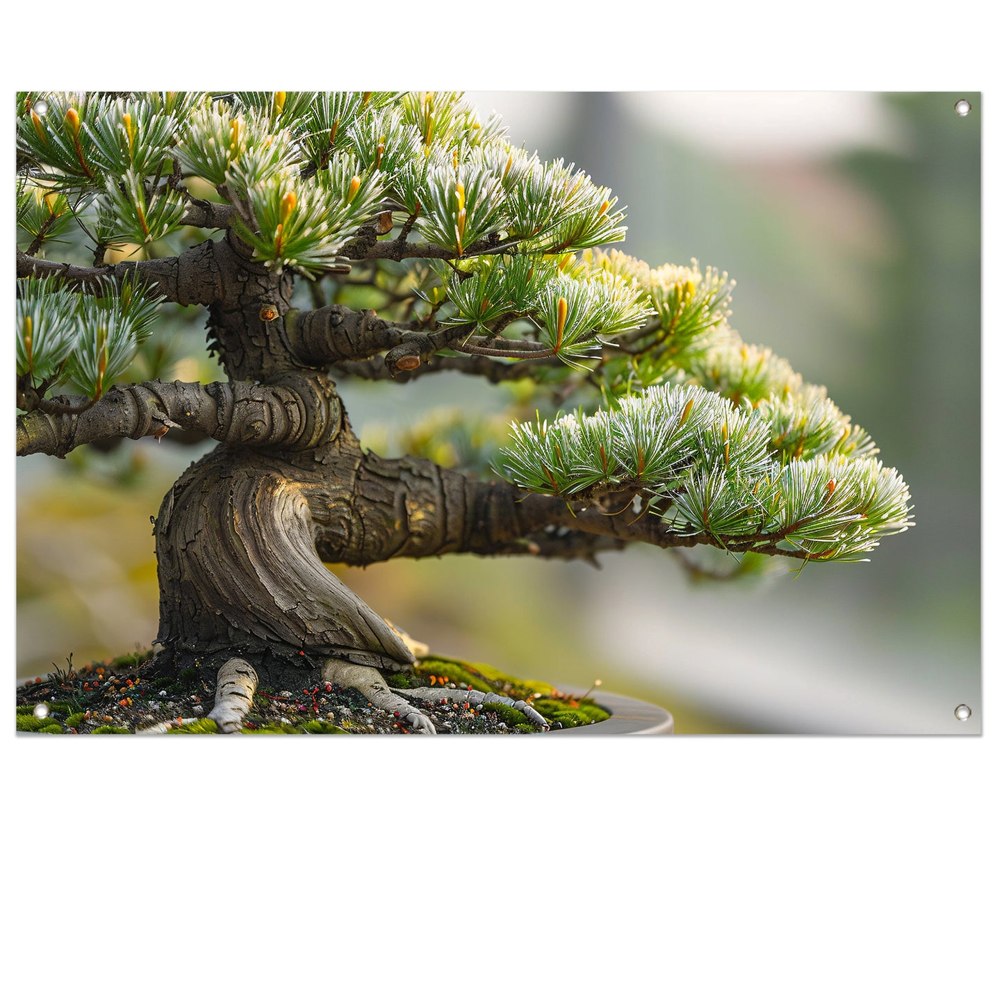 Oude bonsai met gedetailleerde schors en groen tuinposter