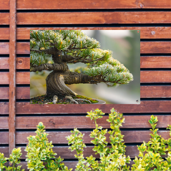 Oude bonsai met gedetailleerde schors en groen tuinposter