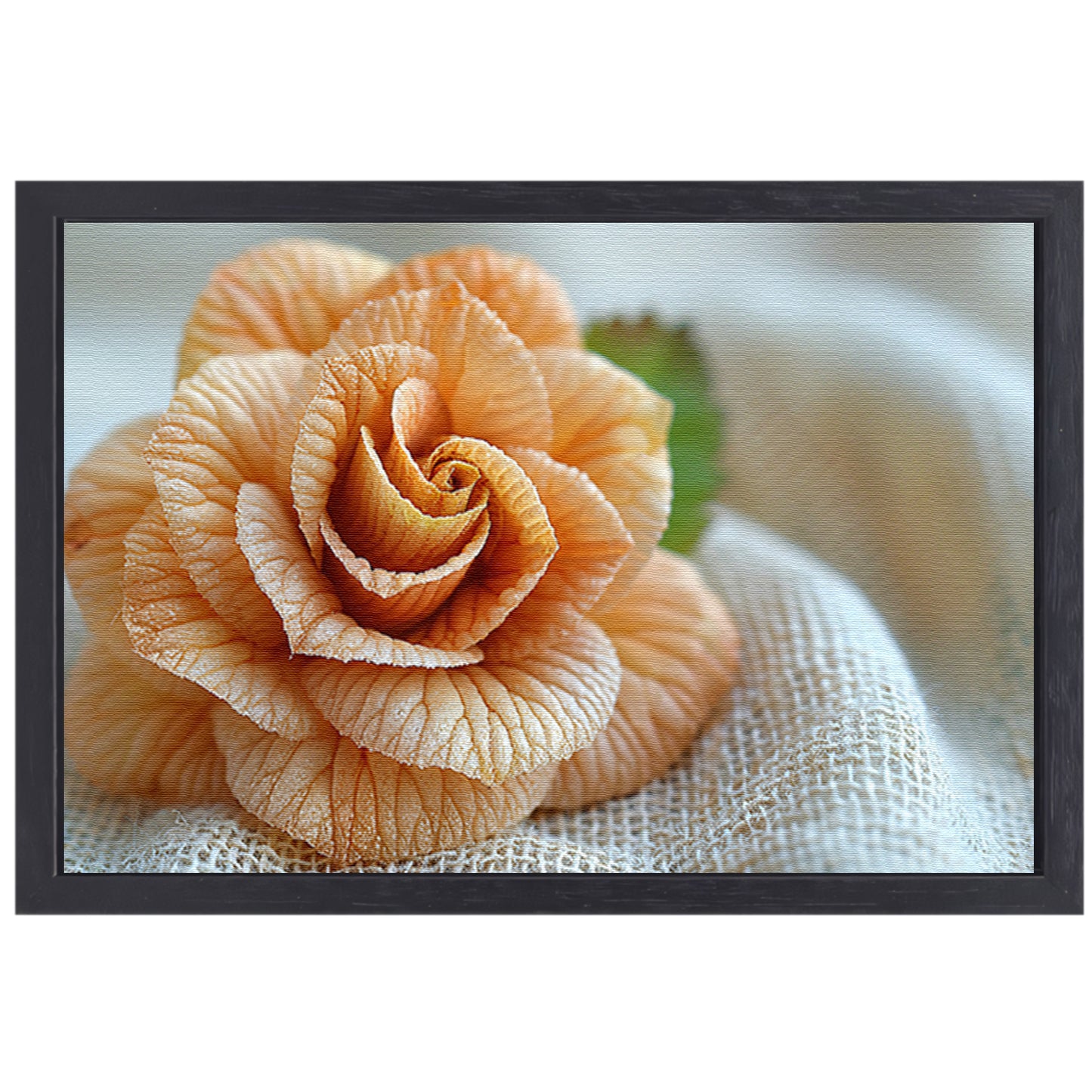 Oranje Bloem met Delicate Textuur canvas met baklijst