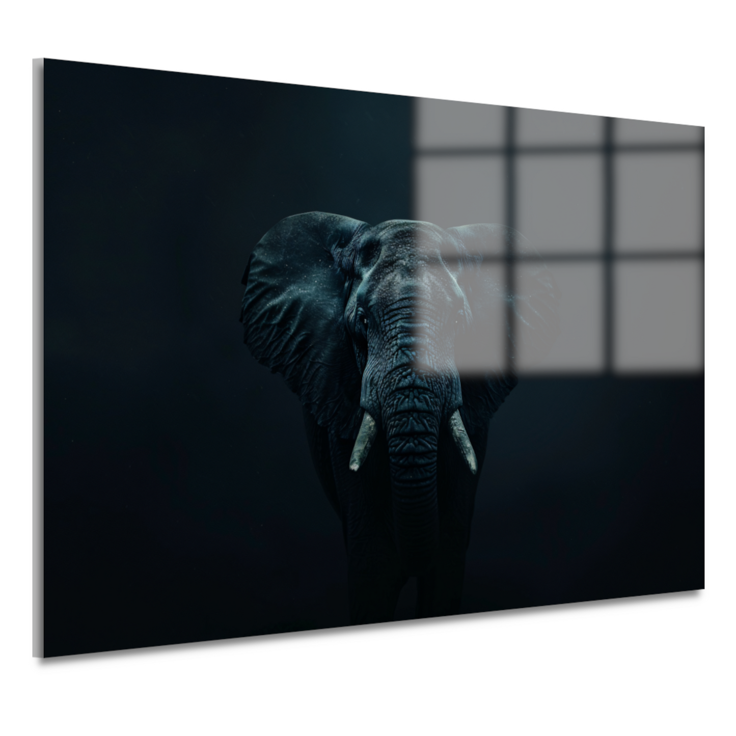 Olifant in het donker met zichtbare schaduwen acrylglas