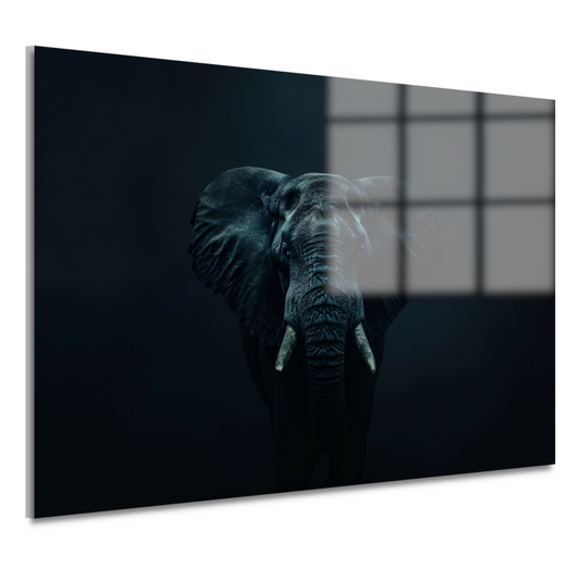 Olifant in het donker met zichtbare schaduwen acrylglas