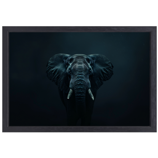 Olifant in het donker met zichtbare schaduwen canvas met baklijst