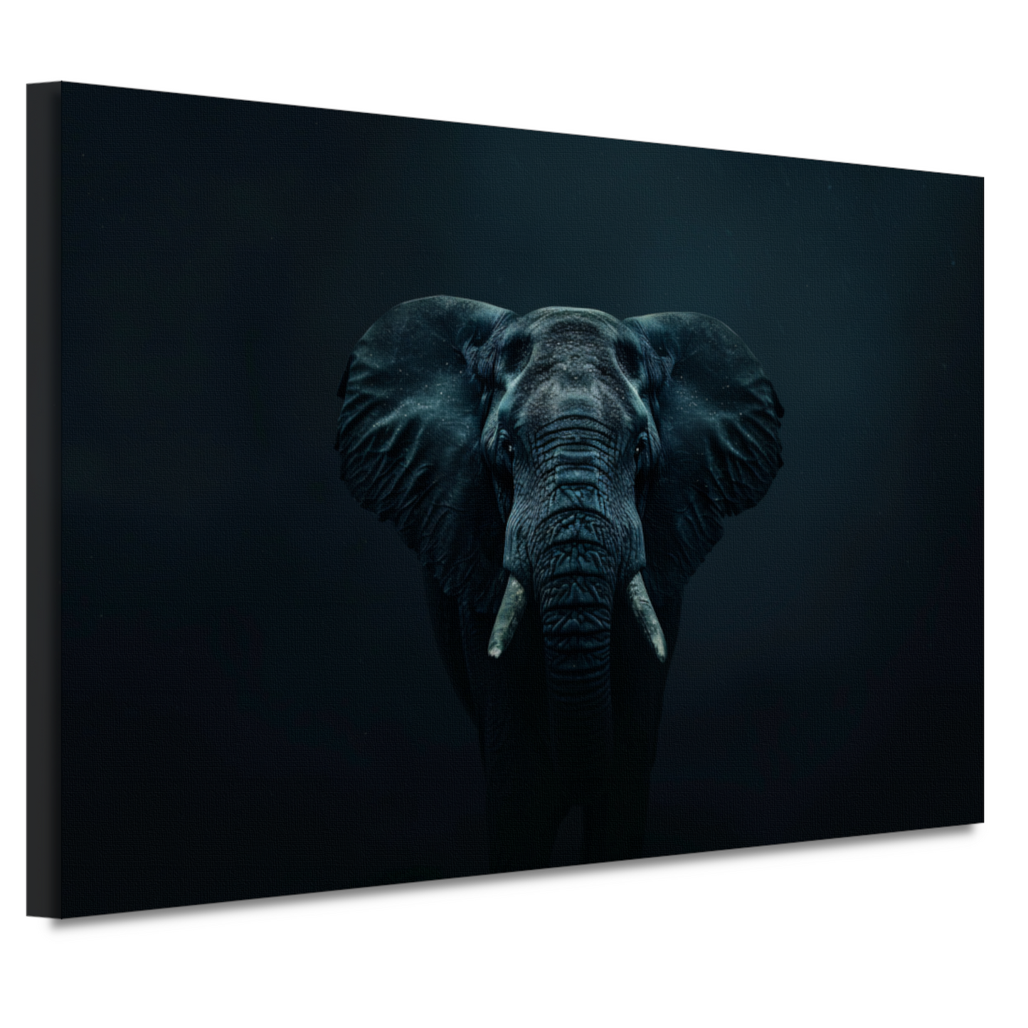 Olifant in het donker met zichtbare schaduwen canvas