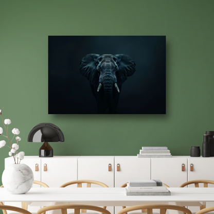 Olifant in het donker met zichtbare schaduwen acrylglas