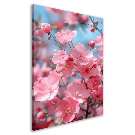 Zachtroze Bloesems in Lentezon canvas