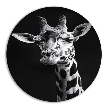 Zwart-wit portret van een giraffe aluminium muurcirkel