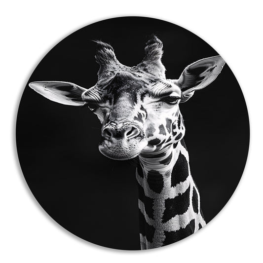 Zwart-wit portret van een giraffe aluminium muurcirkel