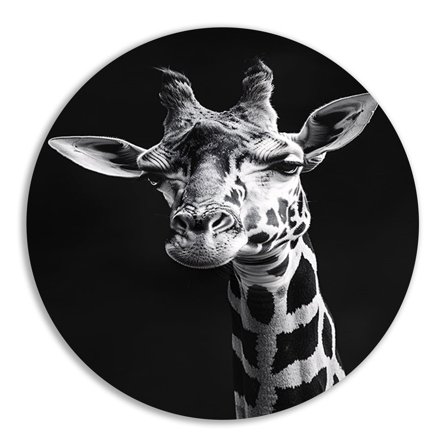 Zwart-wit portret van een giraffe forex muurcirkel