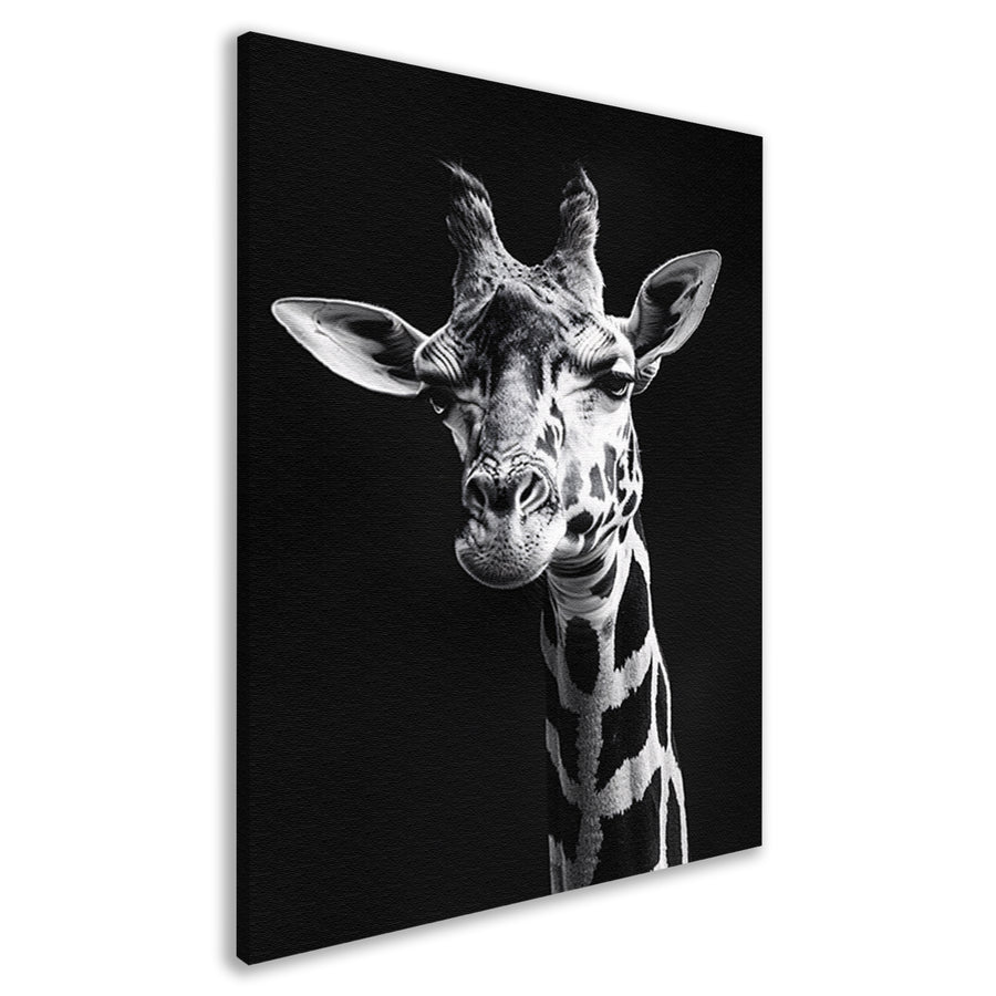 Zwart-wit portret van een giraffe canvas