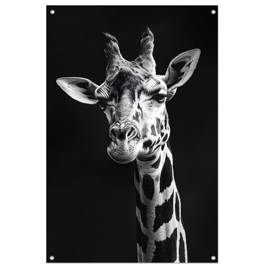 Zwart-wit portret van een giraffe tuinposter