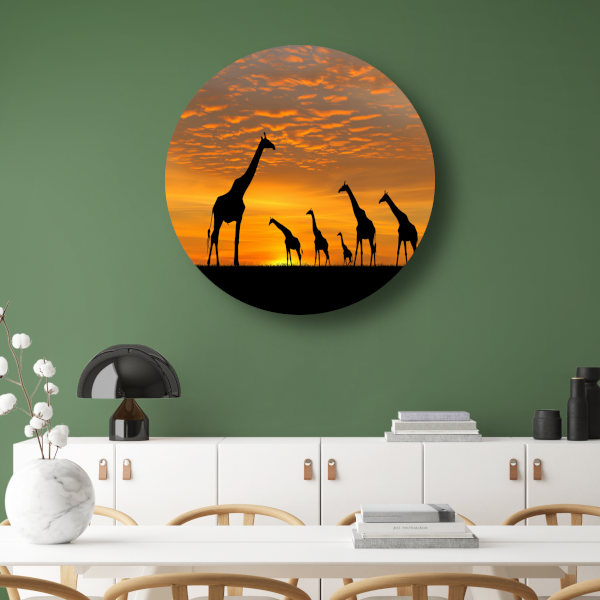 Silhouetgiraffes Zonsondergang Savanne aluminium muurcirkel