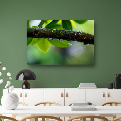Natte tak met dauwdruppels in focus  poster