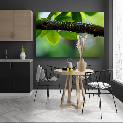 Natte tak met dauwdruppels in focus  poster