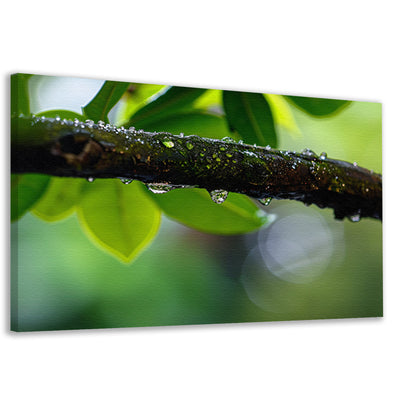 Natte tak met dauwdruppels in focus   canvas