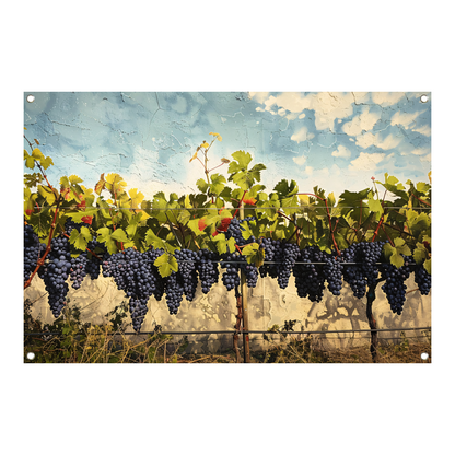 Wijngaard onder een helderblauwe lucht tuinposter