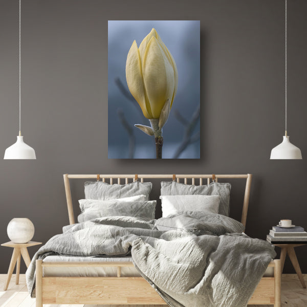 Gele Magnolia Bloemknop in Close-up poster