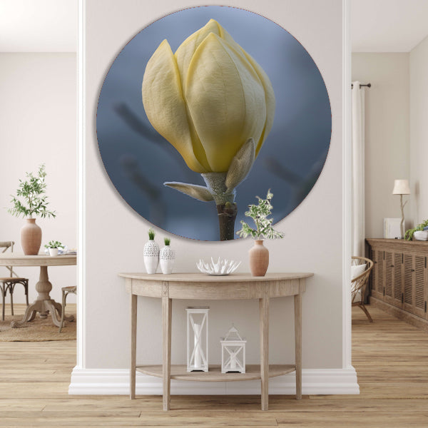 Gele Magnolia Bloemknop in Close-up aluminium muurcirkel