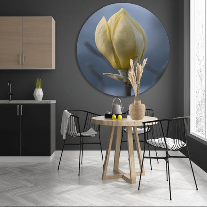Gele Magnolia Bloemknop in Close-up aluminium muurcirkel