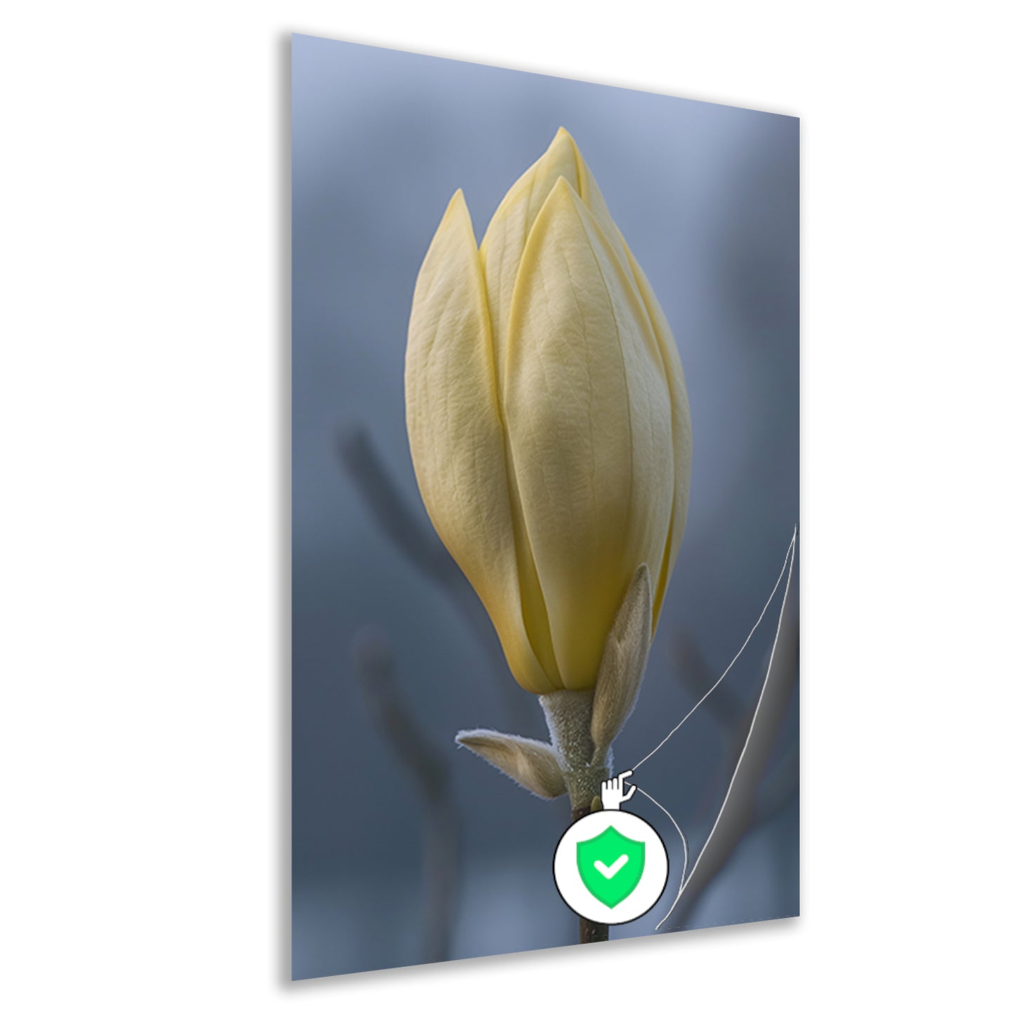 Gele Magnolia Bloemknop in Close-up poster