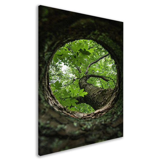 Boom gezien door een gat in de schors canvas