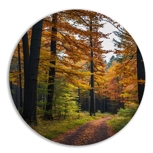 Betoverend herfstbos met kleurrijke bladeren aluminium muurcirkel