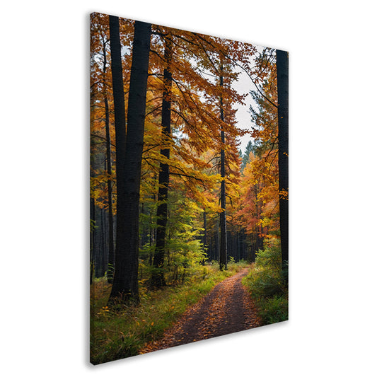 Betoverend herfstbos met kleurrijke bladeren canvas