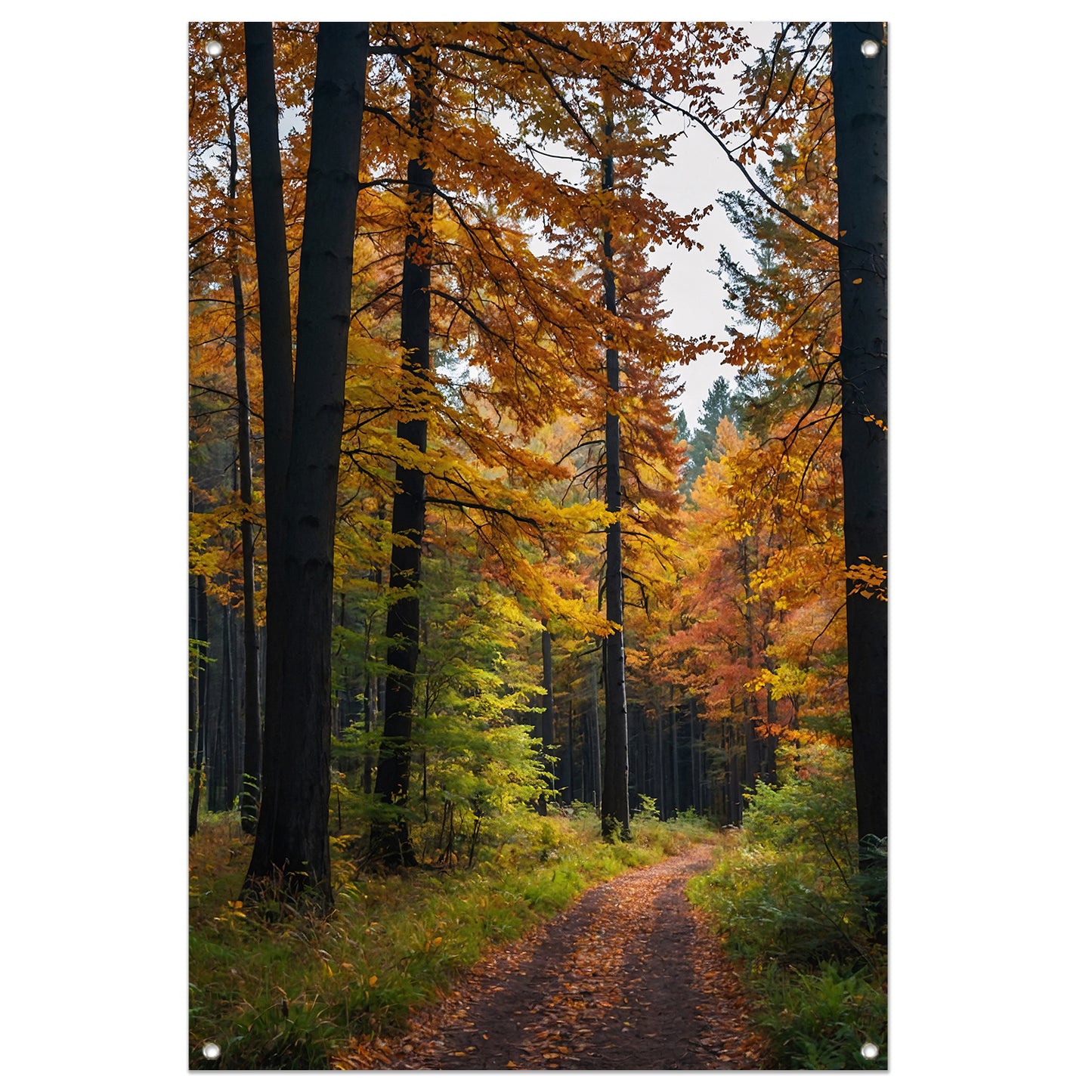 Betoverend herfstbos met kleurrijke bladeren tuinposter