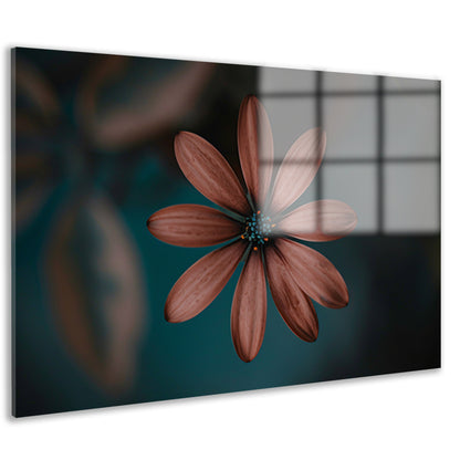 Gedetailleerde bloem met minimalistische uitstraling acrylglas