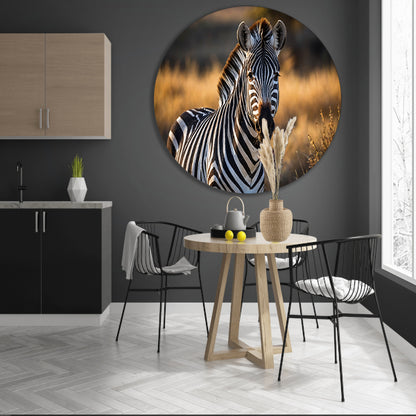 Zebra in natuurlijke omgeving bij zonsondergang forex muurcirkel