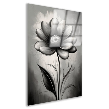 Abstracte Monochrome Bloem in Schaduwspel Acrylglas
