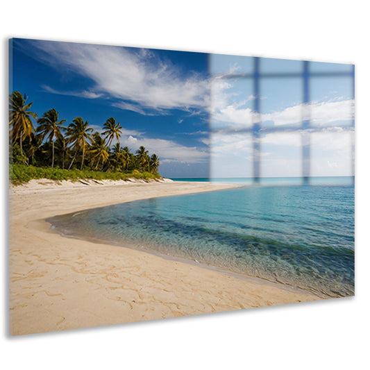 Tropisch strand met palmbomen en helder water acrylglas