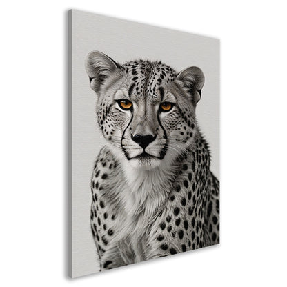 De doordringende blik van een cheeta canvas